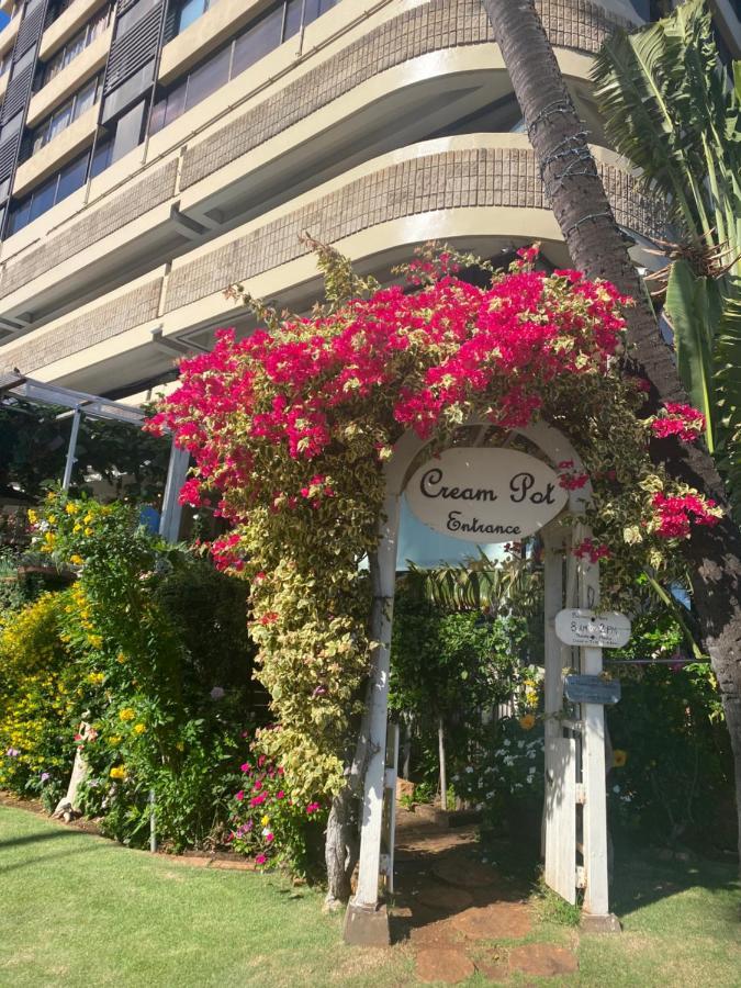 Hawaiian Monarch Cozy Studio 檀香山 外观 照片