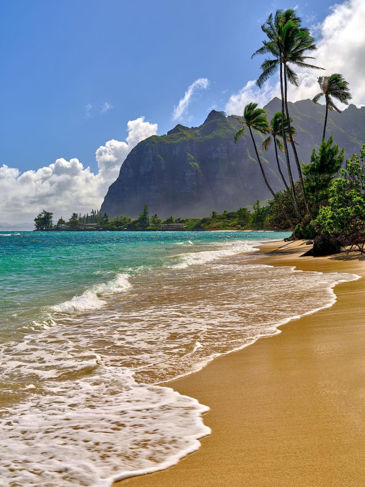 Hawaiian Monarch Cozy Studio 檀香山 外观 照片